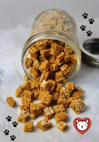 Pumpkin & Salmon Kitty Bits