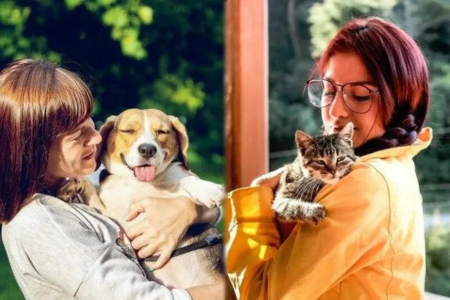 Are Cat Owners Smarter Than Dog People? Facts & FAQ