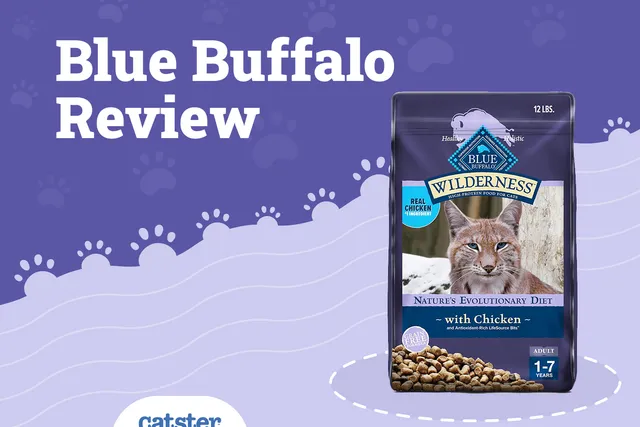 Blue Buffalo Cat Food Review in 2026: Recalls, Pros & Cons