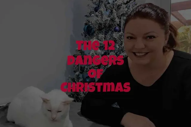 The 12 Dangers of Christmas for Cats (Sung by Dr. Karyn & Clutch)