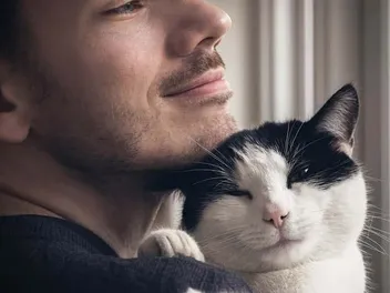 What Is Cat Nuzzling? 4 Vet-Approved Behavior Explanations & Info