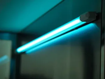 Does UV Light Kill Fleas on Cats? Vet-Reviewed Effectiveness, Safety & Alternatives
