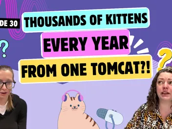 Chatting About the Importance of Spaying/Neutering, Cat Retail Shopping Ban & Red-Level Storms | Chatty Cattys, Episode 30