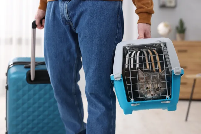 10 Pet Friendly Hotels in Santa Rosa, NM (2026 Update)