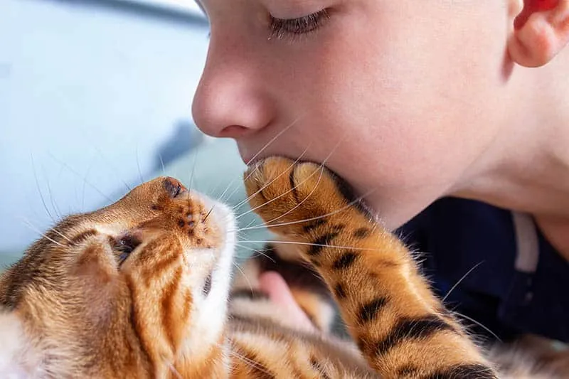 cats paw on childs face