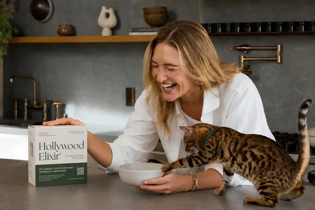 Invisible Aging In Cats: How Veterinary Geroscience Could Help Cats Live Longer, Healthier Lives