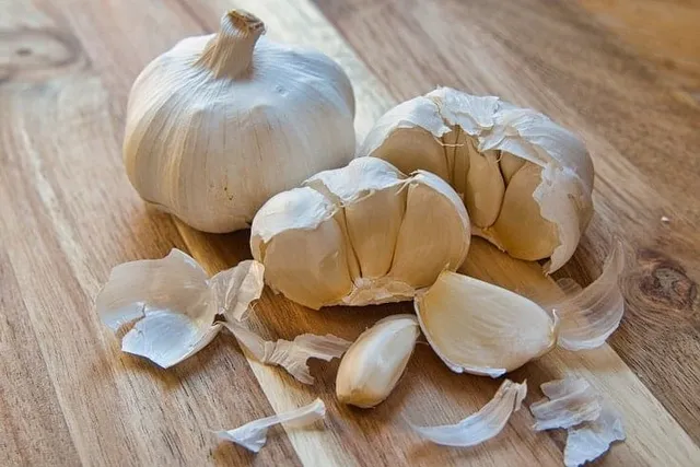 Garlic Toxicity in Cats: Vet-Approved Signs, Care Tips & FAQ