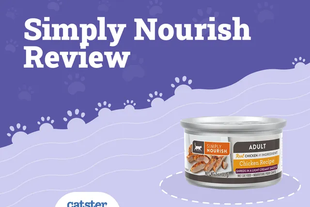 Simply Nourish Cat Food Review of 2026: Recalls, Pros & Cons