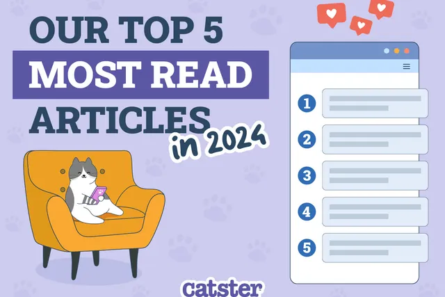 Most Read Articles on Catster in 2024