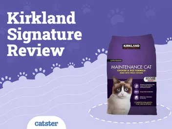 Kirkland Signature Cat Food Review of 2026: Recalls, Pros & Cons