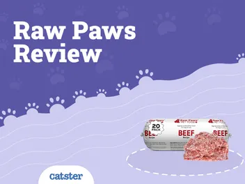 Raw Paws Pet Food Review 2026: Pros, Cons, & Verdict