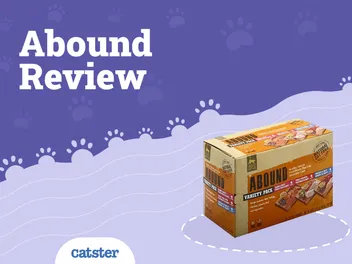 Abound Cat Food Review of 2026: Recalls, Pros & Cons