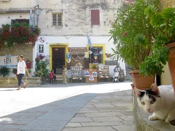 Welcome to Seborga: A Small Mediterranean Nation of Cats