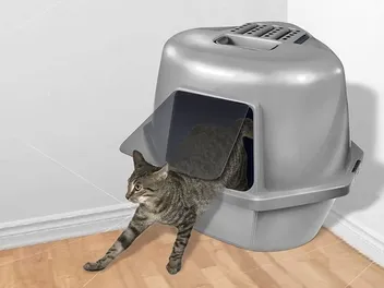 10 Best Cat Litter Boxes in Canada (2026) - Reviews and Top Picks