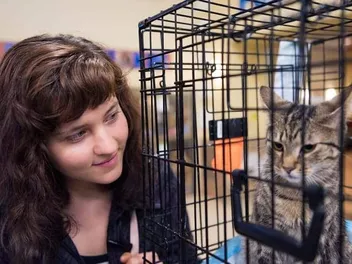 Adopt A Less Adoptable Pet Week: When Is It & How To Celebrate