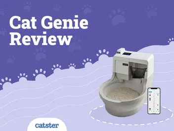 CatGenie Litter Box Review 2026: Our Expert’s Opinion