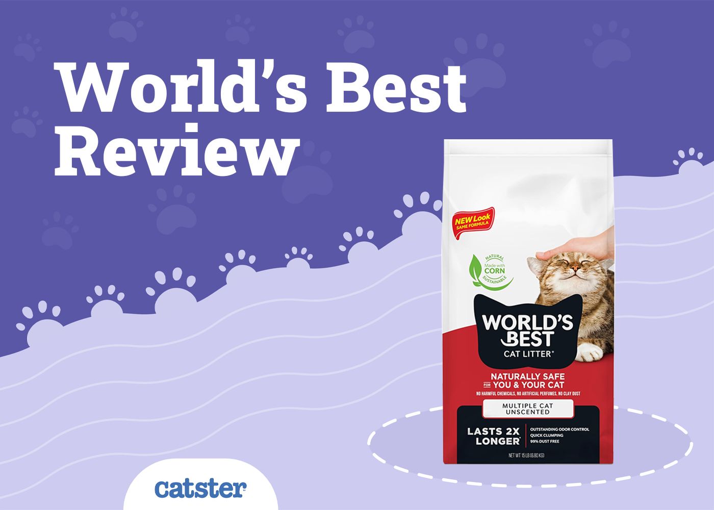 World's Best Cat Litter Review