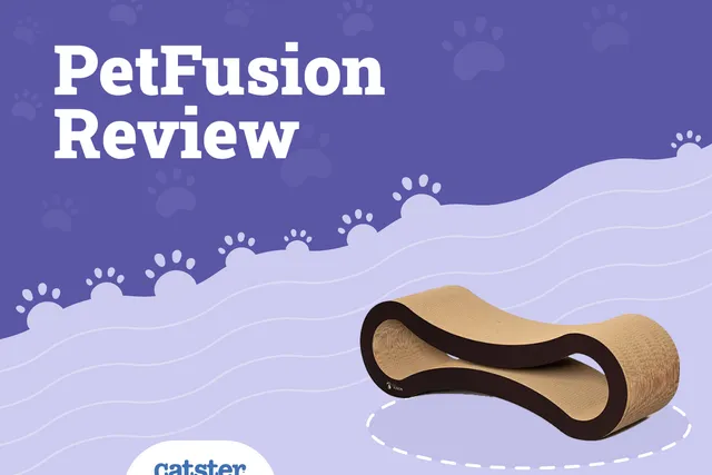 PetFusion Ultimate Cat Scratcher Lounge Review 2026: Pros, Cons, & Verdict