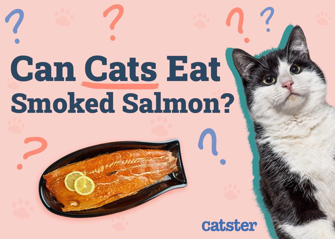 Can Cats Eat Smoked Salmon
