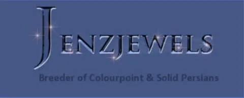 jenzjewels logo