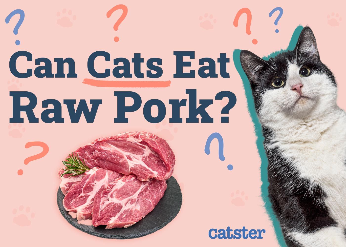 Can Cats Eat Raw Pork