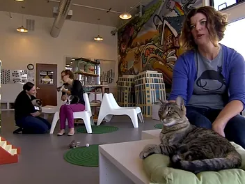 We Chat With the Cat-Centric Crew of Oakland's Cat Town