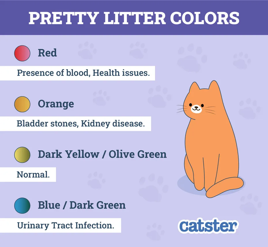 Catster_Pretty Litter Colors Infographic_v1-4_Dec 6 2024