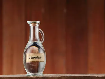 Does Vinegar Stop Cats From Pooping Where They Shouldn’t? Vet-Verified Tips & Reasons for This Behavior