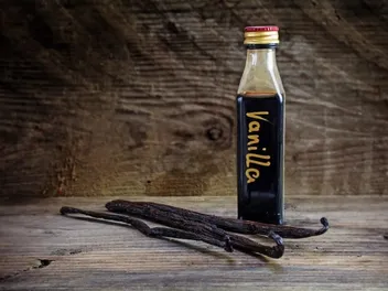 Do Cats Like the Scent of Vanilla? What You Should Know