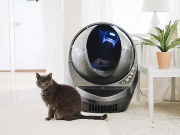 5 Best Self-Cleaning Litter Boxes for Multiple Cats of 2026 - Reviews & Top Picks