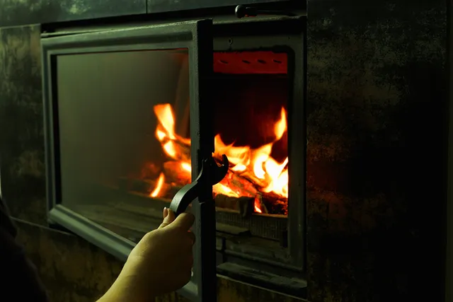 Can Cats See Fire? Explaining Feline Vision & FAQ
