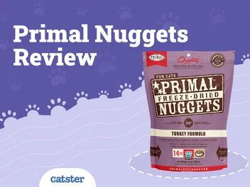 Primal Cat Food Review of 2026: Recalls, Pros & Cons