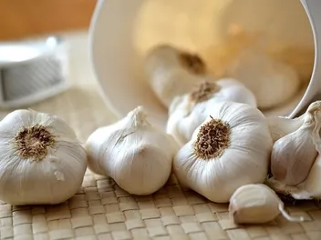 Does Garlic Kill Fleas On Cats? Vet Reviewed Effectiveness Safety Explained