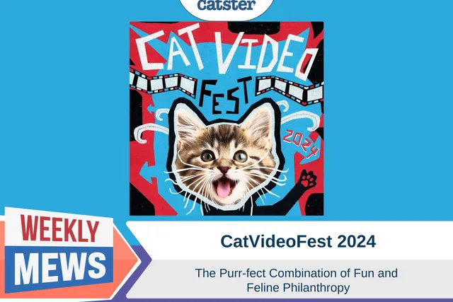 CatVideoFest: The Purr-fect Combination of Fun and Feline Philanthropy