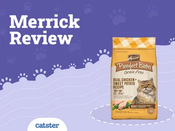 Merrick Cat Food Review 2026: Recalls, Pros & Cons