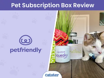 PetFriendly Subscription Box Review 2026: A Detailed Look