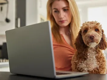 How to Get a Vet Prescription Online: 9 Steps & What to Expect