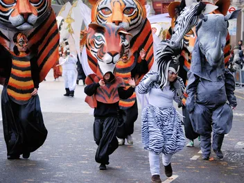 Kattenstoet (The Belgian Cat Festival) : Origins & Celebration Facts