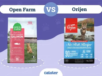 Open Farm vs Orijen Cat Food: 2026 Comparison, Ingredients, Price & More