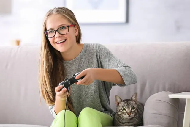 The Catcade: Chicago's Cafe With Vintage Games, Kitties & Coffee
