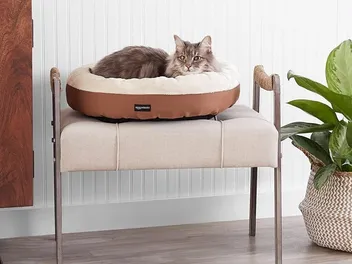 8 Best Cat Beds in Canada in 2026 - Reviews & Top Picks