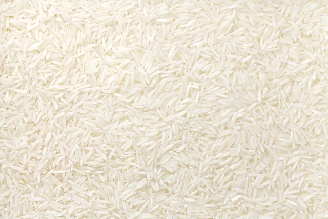 Can Rice Be Used as Cat Litter? Vet-Reviewed Pros & Cons