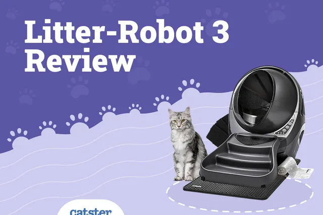 Litter-Robot 3 Review 2026: Pros, Cons & Verdict