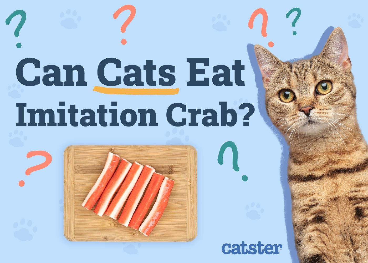 Can Cats Eat Imitation Crab