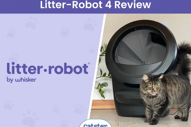 Litter Robot 4 Review 2026: How It Measured Up in My Multi-Cat Home