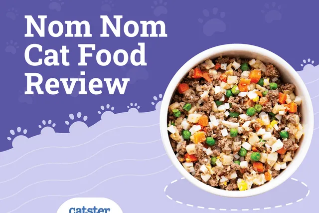 Nom Nom Cat Food Review: Recalls, Pros, Cons & Verdict
