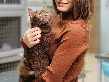 Do Cats Like Hugs? Feline Preferences & Important Considerations (Vet Verified)