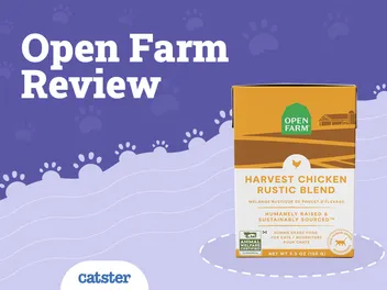 Open Farm Cat Food Review in 2026: Our Expert’s Opinion