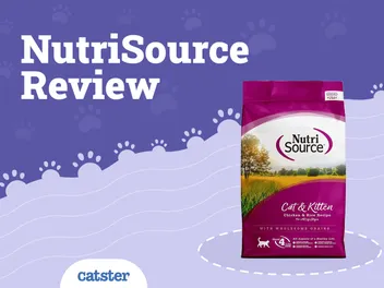 Nutrisource Cat Food Review of 2026: Recalls, Pros & Cons