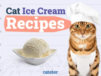 5 Homemade Cat Ice Cream Recipes (Vet-Approved)